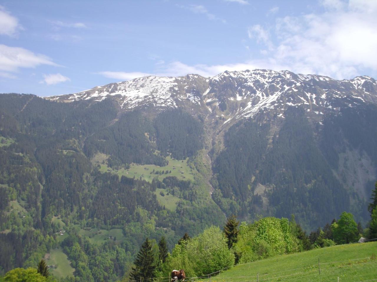 Maisaess Lifinarblick Villa Schruns Luaran gambar