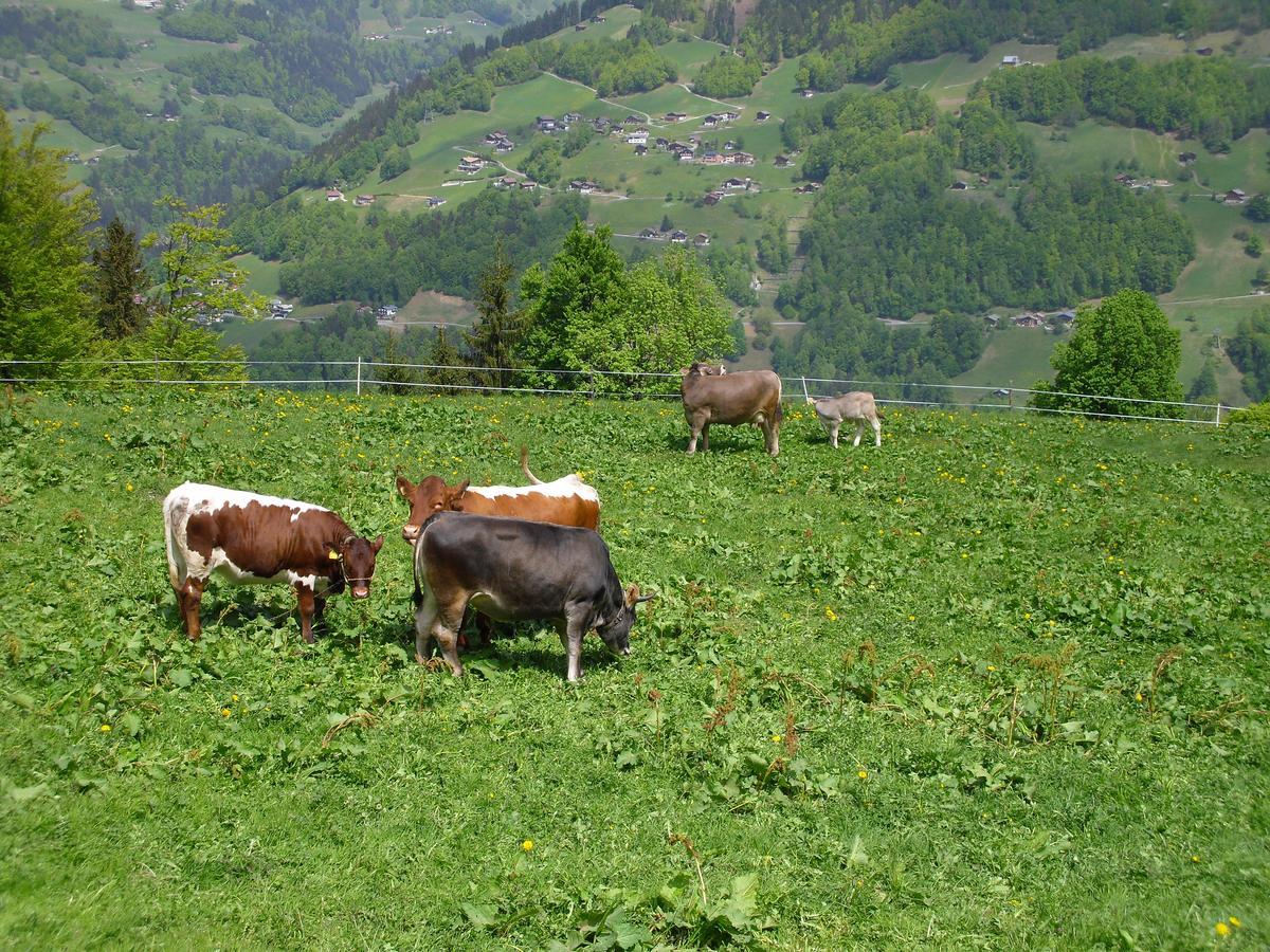 Maisaess Lifinarblick Villa Schruns Luaran gambar